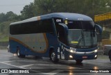 Bia Turismo > Aellos de Ouro 8215 na cidade de Santa Isabel, São Paulo, Brasil, por George Miranda. Número da foto: #11053087.
