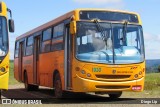 Lewinski Transportes A.A.S. Ltda. 1030 na cidade de Santa Cecília, Santa Catarina, Brasil, por Diego Lip. Número da foto: #:id.