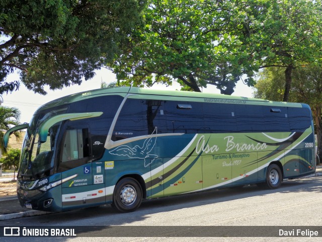 Asa Branca Turismo 20180 na cidade de Natal, Rio Grande do Norte, Brasil, por Davi Felipe. Número da foto: #11056912.