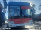 STP Santiago EC-241 na cidade de Maipú, Santiago, Metropolitana de Santiago, Chile, por Benjamín Tomás Lazo Acuña. Número da foto: #11057688.