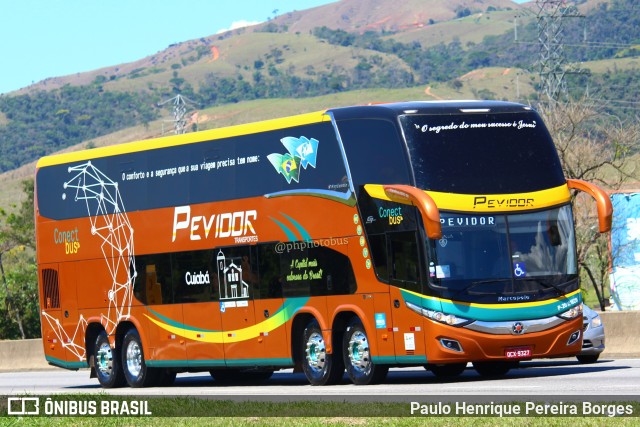 Pevidor Transportes P-20101829 na cidade de Roseira, São Paulo, Brasil, por Paulo Henrique Pereira Borges. ID da foto: 11066208.