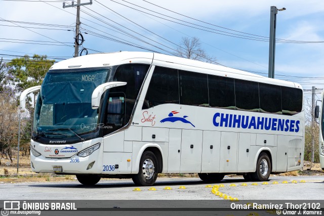 Transportes Chihuahuenses 2036 na cidade de Querétaro, Querétaro, México, por Omar Ramírez Thor2102. Número da foto: #11066566.