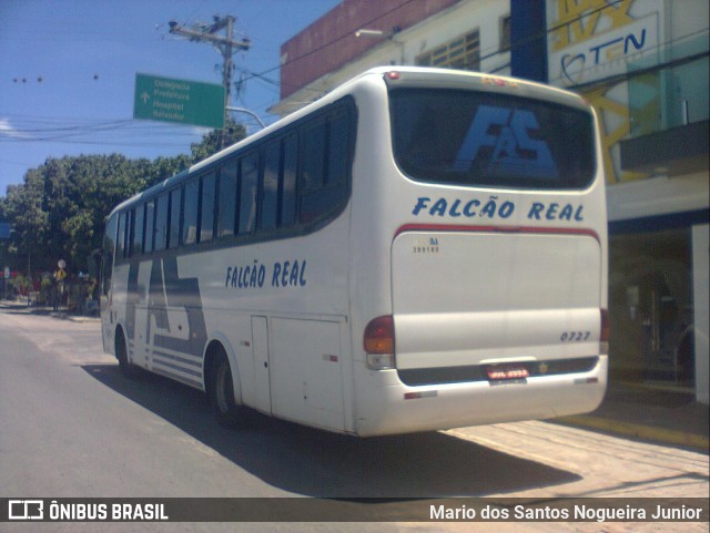 Falcão Real 0727 na cidade de Capim Grosso, Bahia, Brasil, por Mario dos Santos Nogueira Junior. ID da foto: 11069138.