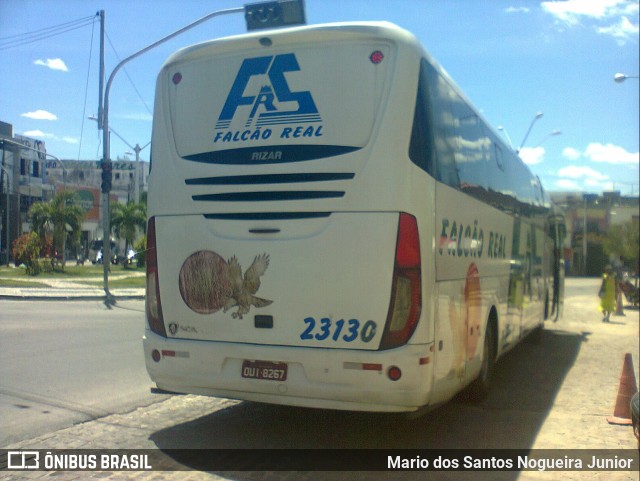 Falcão Real 23130 na cidade de Capim Grosso, Bahia, Brasil, por Mario dos Santos Nogueira Junior. ID da foto: 11070425.