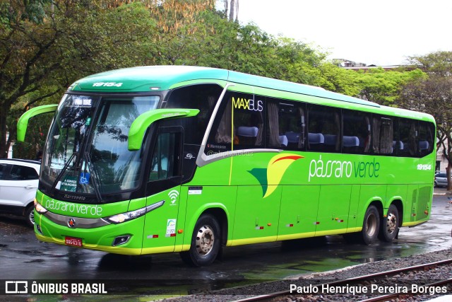 Pássaro Verde 19154 na cidade de Cataguases, Minas Gerais, Brasil, por Paulo Henrique Pereira Borges. Número da foto: #11071864.