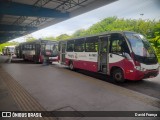 Guajará AI-31001 na cidade de Belém, Pará, Brasil, por David França. Número da foto: #:id.