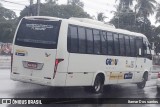 Grou Viagens e Turismo 0530 na cidade de Lauro de Freitas, Bahia, Brasil, por Itamar dos Santos. Número da foto: #:id.