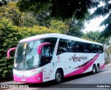 América Turismo 1105 na cidade de São Paulo, São Paulo, Brasil, por Brollo Bus. Número da foto: #11080456.