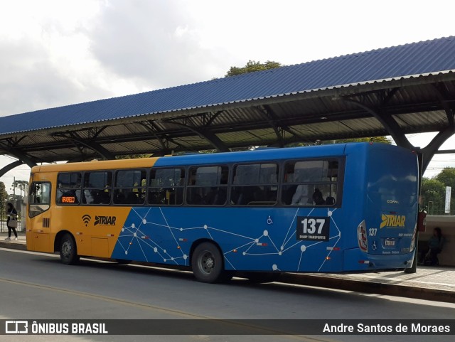 Sharp Transportes 137 na cidade de Araucária, Paraná, Brasil, por Andre Santos de Moraes. Número da foto: #11014030.