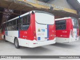 Rigras Transporte Coletivo e Turismo 173 na cidade de Ribeirão Pires, São Paulo, Brasil, por Fabrício Portella Matos. Número da foto: #11015238.