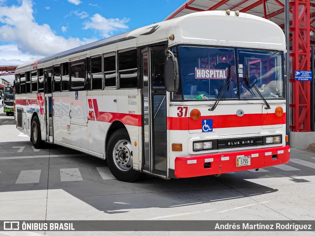 Alpizar 37 na cidade de Alajuela, Alajuela, Costa Rica, por Andrés Martínez Rodríguez. Número da foto: #11018151.