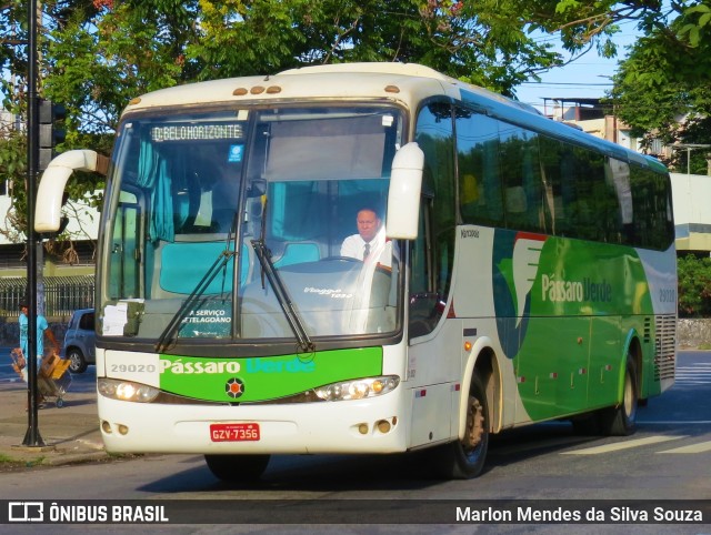 Pássaro Verde 29020 na cidade de Belo Horizonte, Minas Gerais, Brasil, por Marlon Mendes da Silva Souza. ID da foto: 11017161.