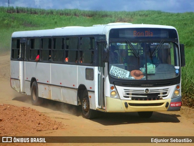 Ônibus Particulares 4877 na cidade de Paudalho, Pernambuco, Brasil, por Edjunior Sebastião. Número da foto: #11017147.