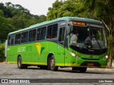 Pássaro Verde 15144 na cidade de Viçosa, Minas Gerais, Brasil, por Luis Soares. Número da foto: #:id.