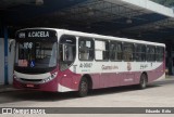 Guajará AI-30807 na cidade de Belém, Pará, Brasil, por Eduardo  Brito. Número da foto: #:id.