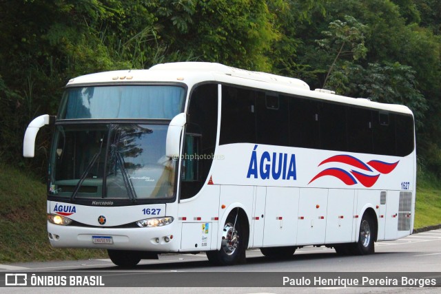 Águia 1627 na cidade de Piraí, Rio de Janeiro, Brasil, por Paulo Henrique Pereira Borges. Número da foto: #11022450.