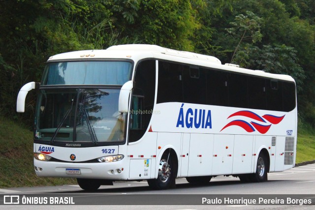 Águia 1627 na cidade de Piraí, Rio de Janeiro, Brasil, por Paulo Henrique Pereira Borges. ID da foto: 11022450.