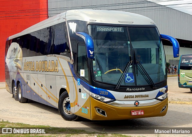 Águia Dourada 2039 na cidade de Caruaru, Pernambuco, Brasil, por Manoel Mariano. Número da foto: #11020682.
