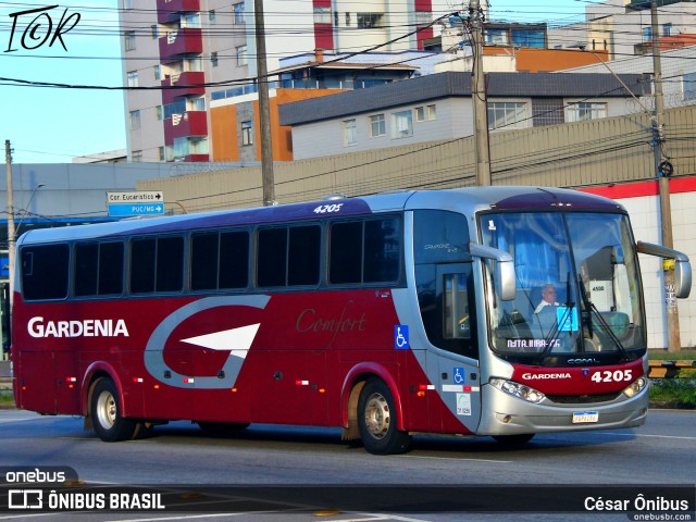 Expresso Gardenia 4205 na cidade de Belo Horizonte, Minas Gerais, Brasil, por César Ônibus. ID da foto: 11021061.