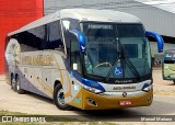 Águia Dourada 2039 na cidade de Caruaru, Pernambuco, Brasil, por Manoel Mariano. Número da foto: #11020682.