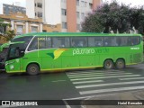 Pássaro Verde 19153 na cidade de Belo Horizonte, Minas Gerais, Brasil, por Hariel Bernades. Número da foto: #:id.