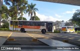 Viasul Transportes Coletivos 1730 na cidade de Itaúna, Minas Gerais, Brasil, por Helder Fernandes da Silva. ID da foto: :id.