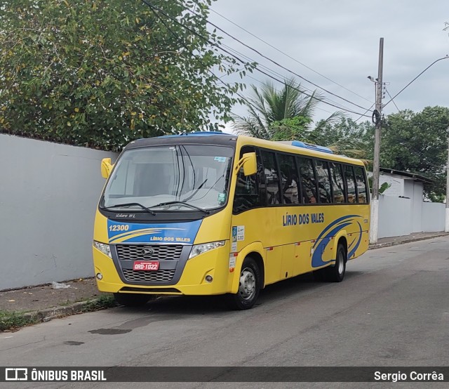 Viação Lírio dos Vales 12300 na cidade de Vila Velha, Espírito Santo, Brasil, por Sergio Corrêa. ID da foto: 11104224.