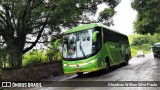 Pássaro Verde 11104 na cidade de Miraí, Minas Gerais, Brasil, por Gleydson Willian Silva Paula. Número da foto: #11105410.
