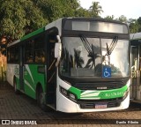 Viação Elite RJ 176.041 na cidade de Volta Redonda, Rio de Janeiro, Brasil, por Danilo  Ribeiro. Número da foto: #11104800.