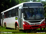 Trans Martins Transportes 2H21 na cidade de Paudalho, Pernambuco, Brasil, por Edjunior Sebastião. Número da foto: #:id.