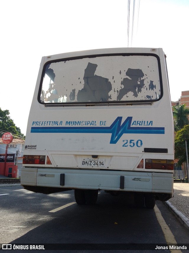 Prefeitura Municipal de Marília 250 na cidade de Marília, São Paulo, Brasil, por Jonas Miranda. Número da foto: #11107357.