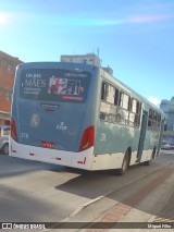 São Jorge de Transportes 216 na cidade de Pelotas, Rio Grande do Sul, Brasil, por Miguel Filho. Número da foto: #11107601.