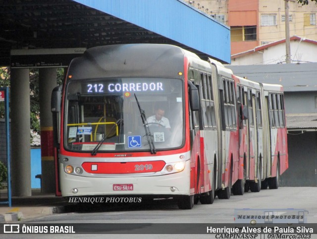 Itajaí Transportes Coletivos 2019 na cidade de Campinas, São Paulo, Brasil, por Henrique Alves de Paula Silva. Número da foto: #11113286.