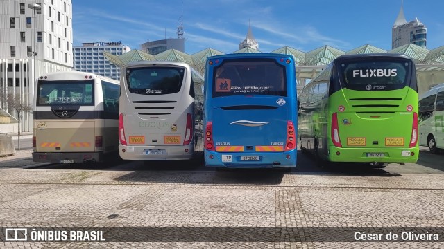 Giromundo  na cidade de Lisbon, Lisbon, Portugal, por César de Oliveira. Número da foto: #11115432.
