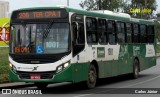 Viação Paraense Cuiabá Transportes 1001 na cidade de Cuiabá, Mato Grosso, Brasil, por Carlos Júnior. Número da foto: #11115592.