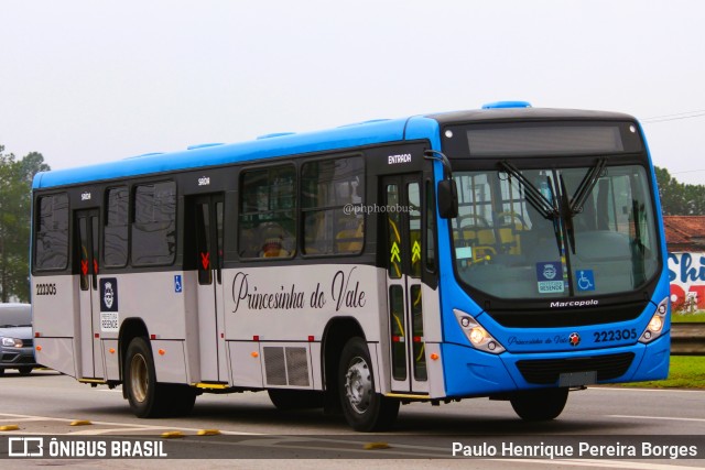 Princesinha do Vale 222305 na cidade de Porto Real, Rio de Janeiro, Brasil, por Paulo Henrique Pereira Borges. ID da foto: 11117034.