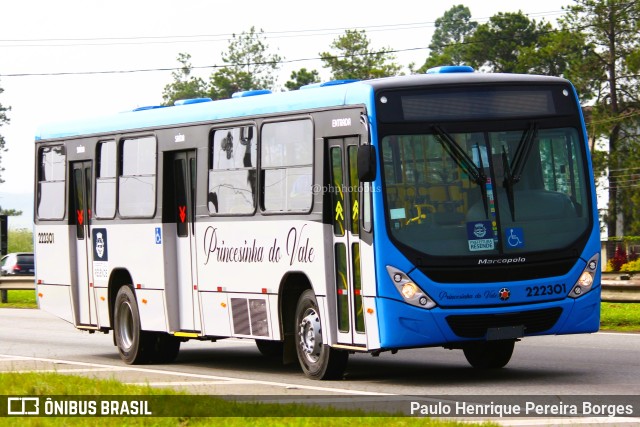 Princesinha do Vale 222301 na cidade de Porto Real, Rio de Janeiro, Brasil, por Paulo Henrique Pereira Borges. Número da foto: #11117075.