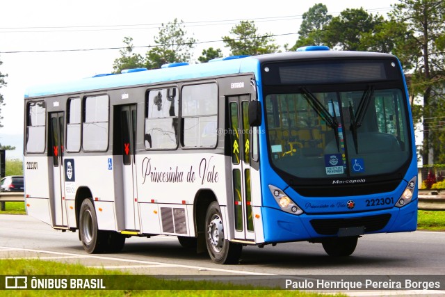 Princesinha do Vale 222301 na cidade de Porto Real, Rio de Janeiro, Brasil, por Paulo Henrique Pereira Borges. ID da foto: 11117075.