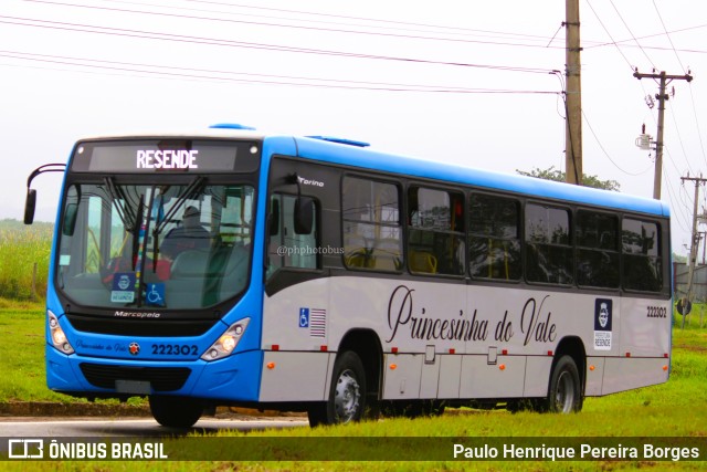 Princesinha do Vale 222302 na cidade de Porto Real, Rio de Janeiro, Brasil, por Paulo Henrique Pereira Borges. ID da foto: 11117065.