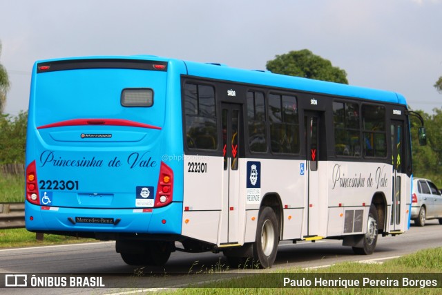 Princesinha do Vale 222301 na cidade de Porto Real, Rio de Janeiro, Brasil, por Paulo Henrique Pereira Borges. ID da foto: 11117078.