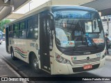 VIPE - Viação Padre Eustáquio 1117 na cidade de São Caetano do Sul, São Paulo, Brasil, por Fabrício Portella Matos. Número da foto: #11119324.