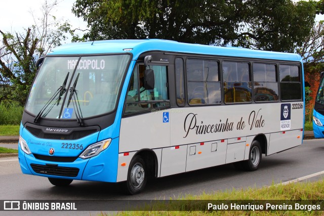 Princesinha do Vale 222356 na cidade de Resende, Rio de Janeiro, Brasil, por Paulo Henrique Pereira Borges. Número da foto: #11123480.