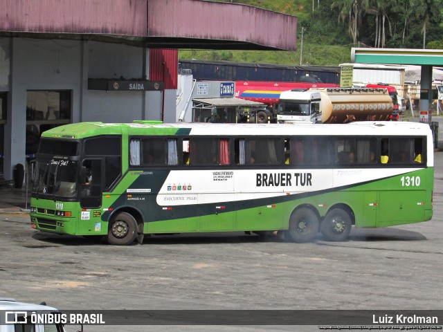 Brauer Tur 1310 na cidade de Juiz de Fora, Minas Gerais, Brasil, por Luiz Krolman. Número da foto: #11126762.