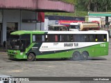 Brauer Tur 1310 na cidade de Juiz de Fora, Minas Gerais, Brasil, por Luiz Krolman. Número da foto: #11126762.