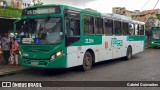 OT Trans - Ótima Salvador Transportes 21294 na cidade de Salvador, Bahia, Brasil, por Gabriel Guimarães. Número da foto: #11125909.