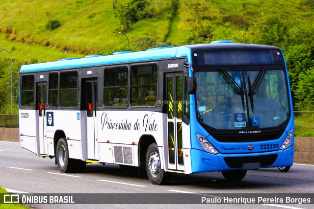 Princesinha do Vale 222329 na cidade de Piraí, Rio de Janeiro, Brasil, por Paulo Henrique Pereira Borges. Número da foto: #11129802.