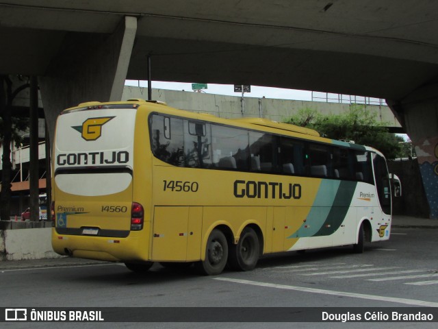 Empresa Gontijo de Transportes 14560 na cidade de Belo Horizonte, Minas Gerais, Brasil, por Douglas Célio Brandao. ID da foto: 11129377.