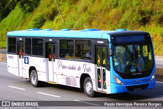 Princesinha do Vale 222323 na cidade de Piraí, Rio de Janeiro, Brasil, por Paulo Henrique Pereira Borges. Número da foto: #11129807.