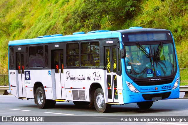 Princesinha do Vale 222334 na cidade de Piraí, Rio de Janeiro, Brasil, por Paulo Henrique Pereira Borges. Número da foto: #11129783.