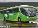 Pássaro Verde 1042 na cidade de Belo Horizonte, Minas Gerais, Brasil, por Hariel Bernades. Número da foto: #:id.